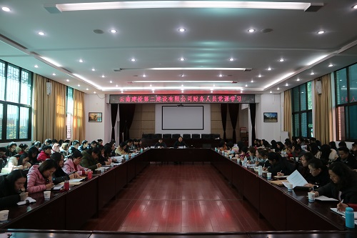 公司舉行財務(wù)人員黨課學(xué)習暨財務(wù)業(yè)務(wù)會